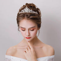 Bavoen Gold Wedding Crowns Tiaras for Brides Zircon Crystal Bridal Headbands Head Dress Evening Hair Jewelry TR0124S